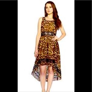 Brand new Dress club Dress with Lace